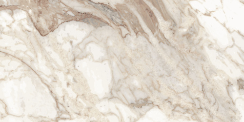 BIEN Calacatta Oro 120x60 бежевый полированная фото 8