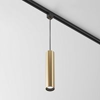Трековый подвесной светильник Maytoni Technical TR025-1-GU10-MG фото
