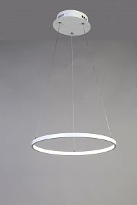 Подвесной светильник Favourite 1765-4P фото