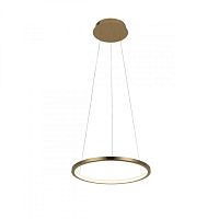 Подвесной светильник LOFT IT 10014S фото