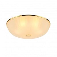 Накладной светильник F-Promo 2752-5C фото