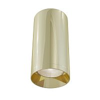 Потолочный светильник Maytoni Technical C010CL-01G фото