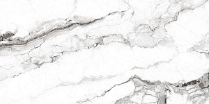 Керамогранит Basconi Home BHW-0002 Capolavoro Polished (Sinking Ink) 60х120 фото