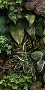 Керамогранит 41ZERO42 Paper41 Pro 4100152 Jane B 50х100 фото