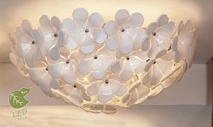 Накладной светильник Lussole GRLSA-5107-05 фото