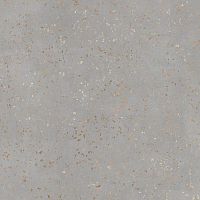 Керамогранит TAU Ceramica Di Gre Silver Nat 120x120 фото