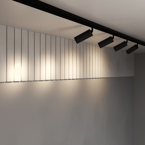 Трековый светильник Maytoni Technical TR032-2-20W3K-S-B фото 3