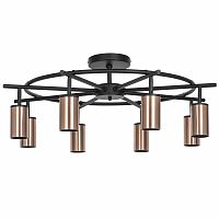 Люстра на штанге Lightstar LR718308 фото
