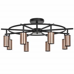 Люстра на штанге Lightstar LR718308 фото